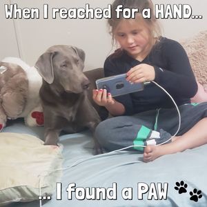 Meet your Posher, Heidi